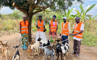 Beyond Infrastructure: Why Community Ownership Is the Key to Sustainable Water, Health, and Livelihood Projects